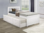 Single/ single Trundle Bed